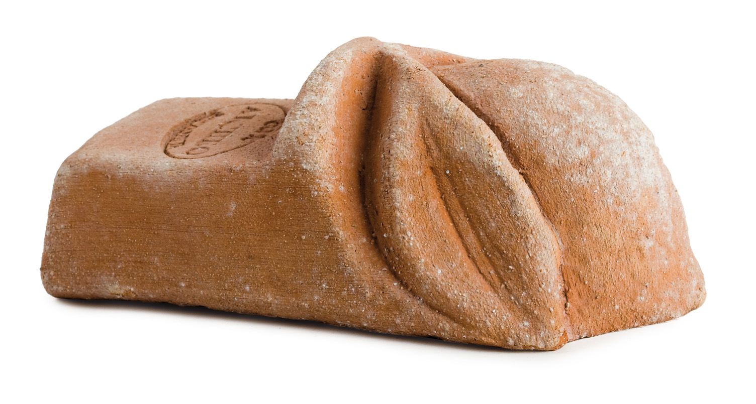 Supporto Limone.jpg